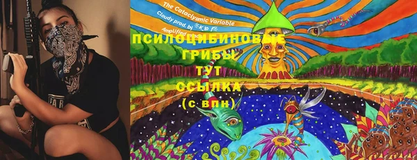 мяу мяу мука Алексеевка