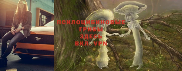 мяу мяу мука Алексеевка