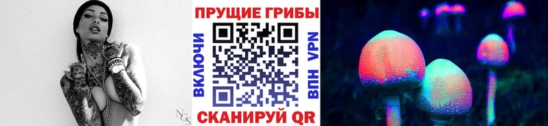 купить  сайты  Иваново  Псилоцибиновые грибы ЛСД 